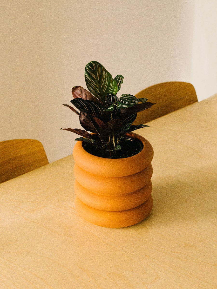 Areaware Tall Terracotta Stacking Planter